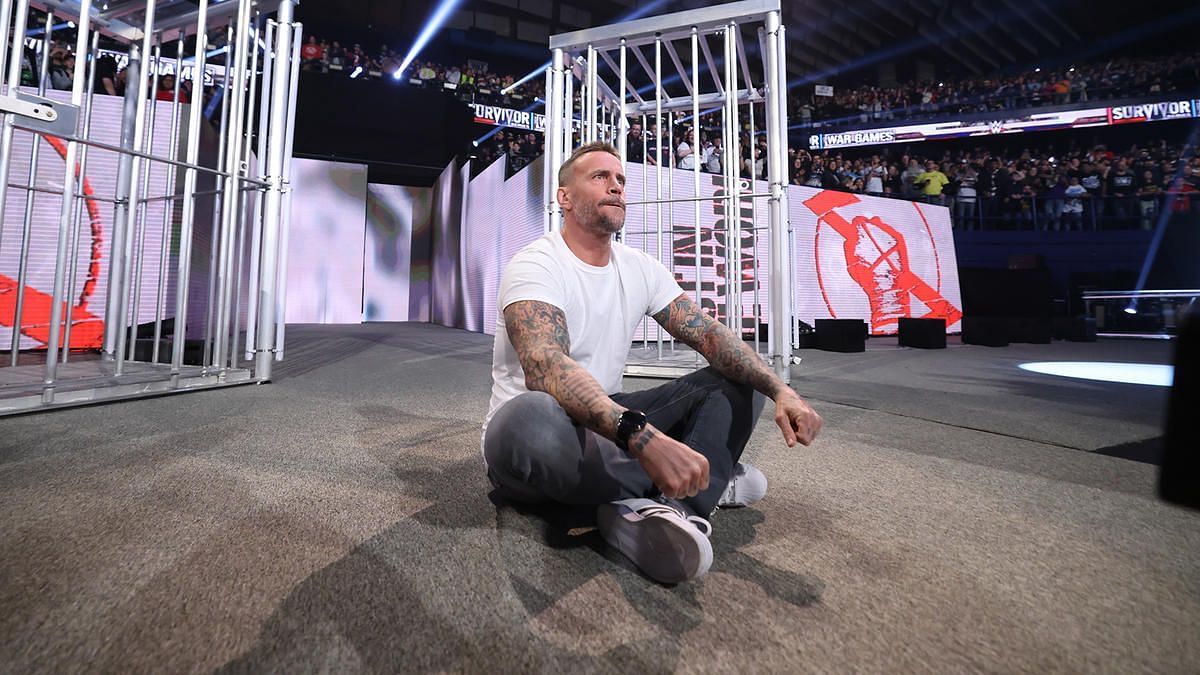 WWE Superstar CM Punk in picture