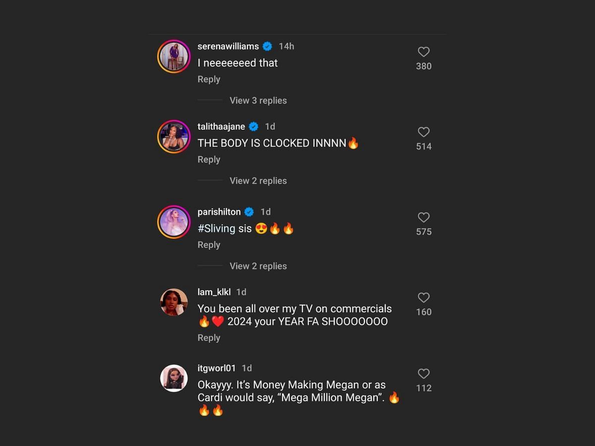 Fans give mixed reactions to Megan Thee Stallion and Nike collaboration (Image via Instagram/@theestallion)