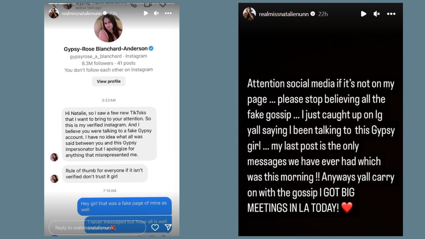 What happened between Gypsy Rose Blanchard and Natalie Nunn? Reality TV