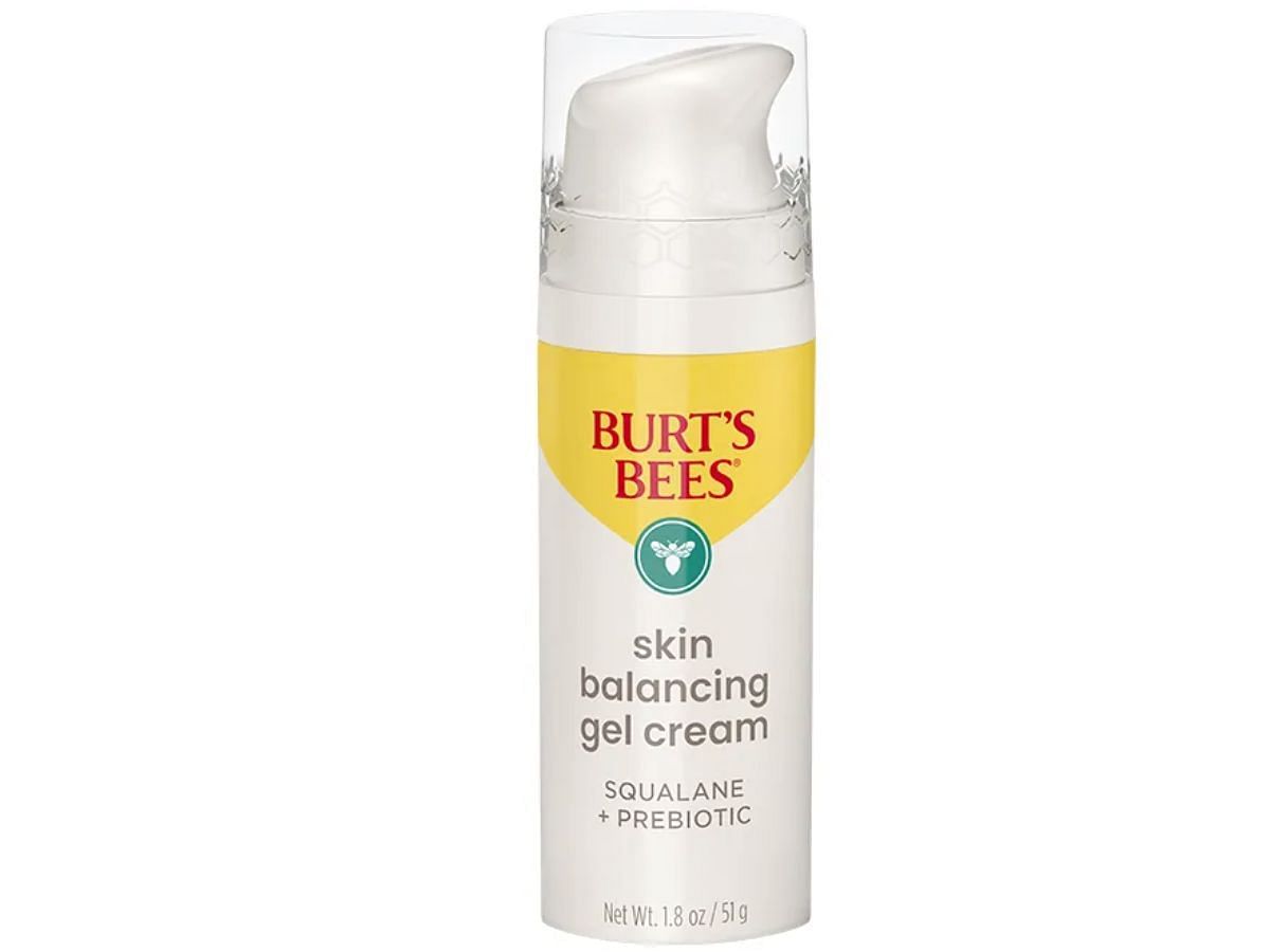 Burt&#039;s Bees Skin Balancing Gel Cream (Image via Burt&#039;s Bees)