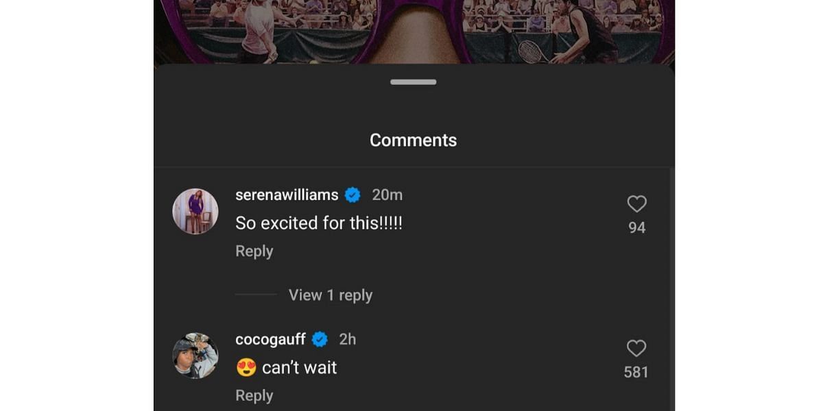 Screenshot of Serena Williams and Coco Gauff&#039;s comments