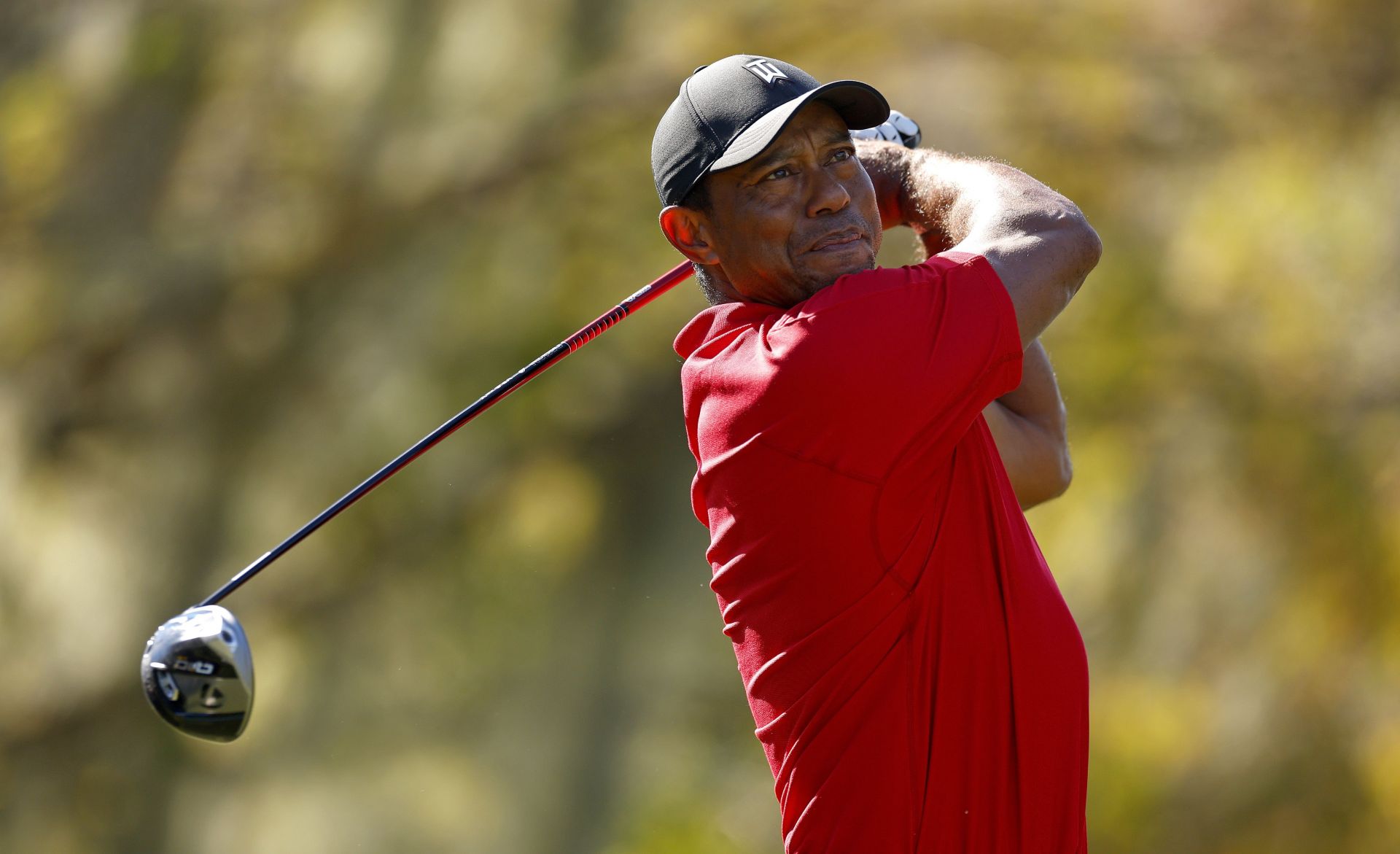 Tiger Woods (Image via Mike Ehrmann/Getty Images)