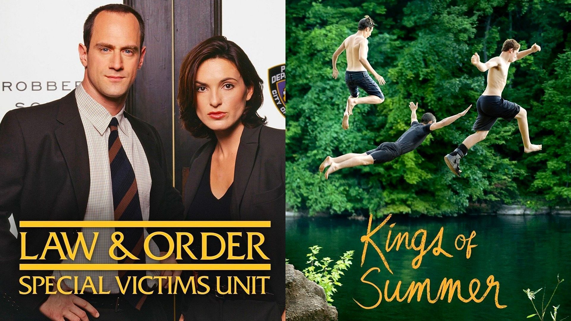 Erin has starred in (L) Law &amp; Order: Special Victims Unit and (R) The Kings of Summer (Images via IMDb)