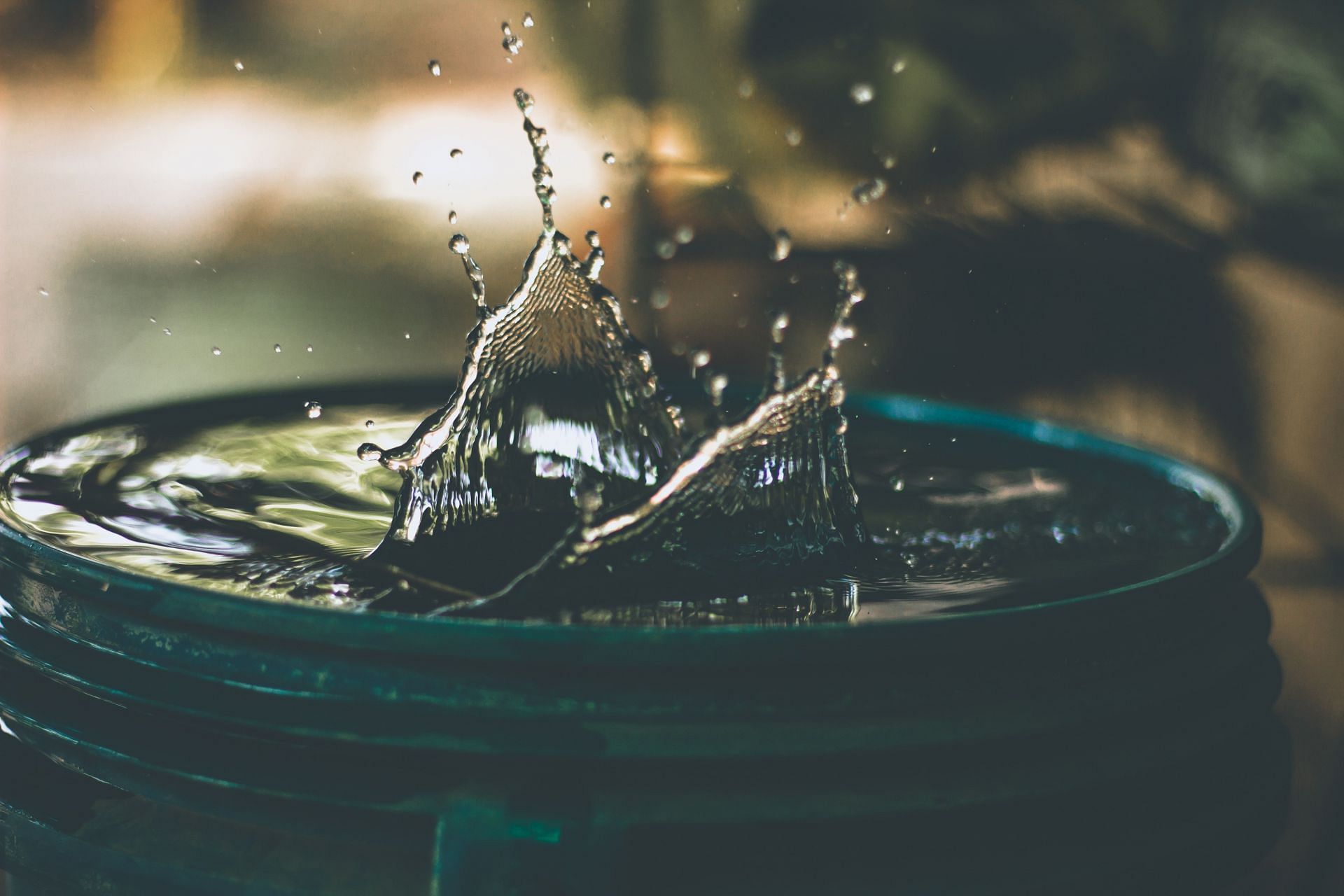 Drinking contaminated water can cause this disease(Image by Amritamshu Sikdar/Unsplash)