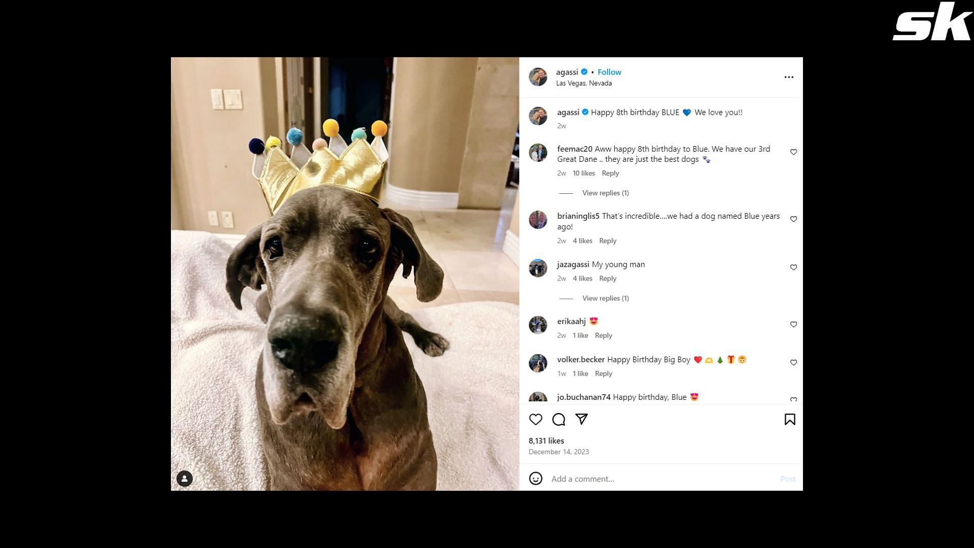 Jaz Agassi joins in with a birthday wish for her dog Blue on father&#039;s Instagram tribute