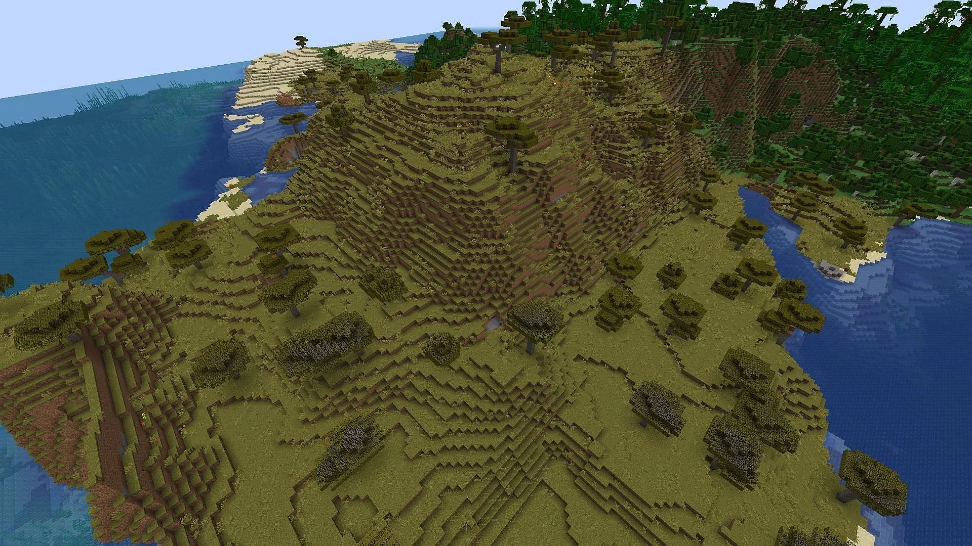 This savanna spawn biome plays host to two Minecraft 1.21 features (Image via Mojang)