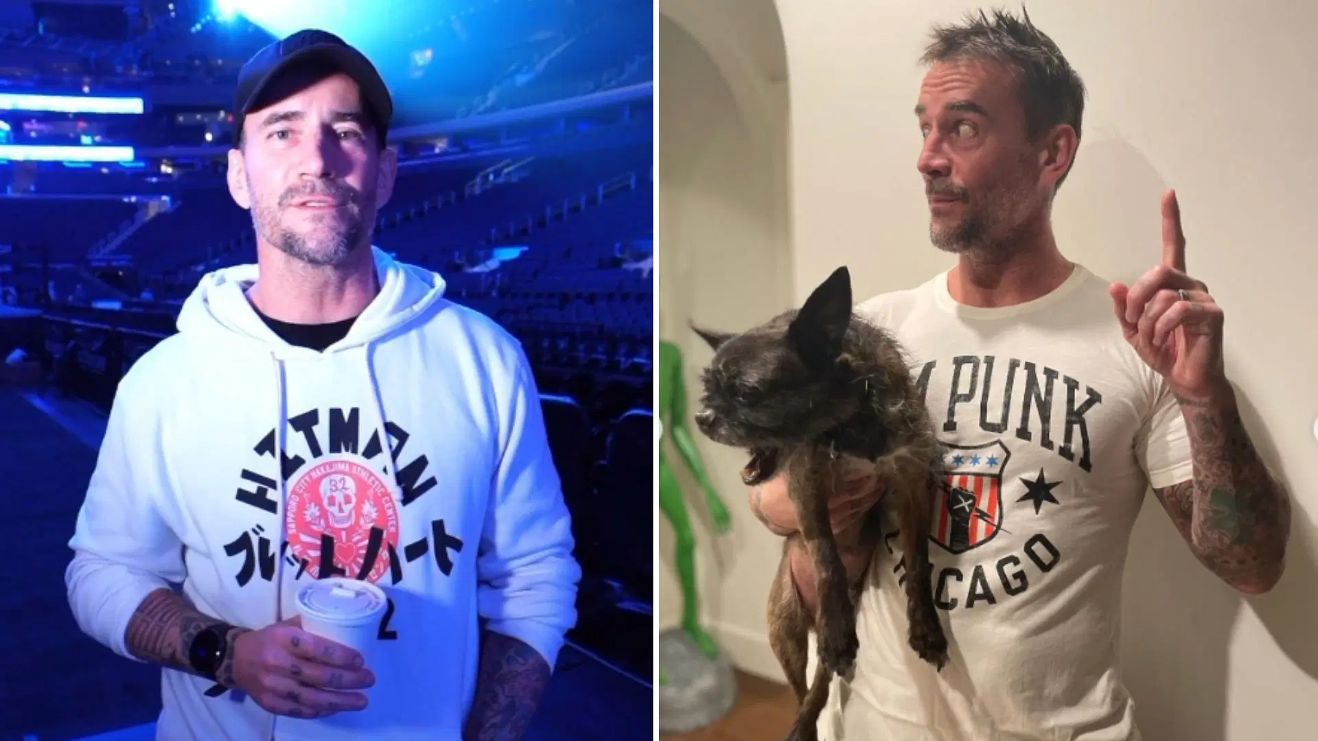 CM Punk will participate in the 2024 WWE Royal Rumble