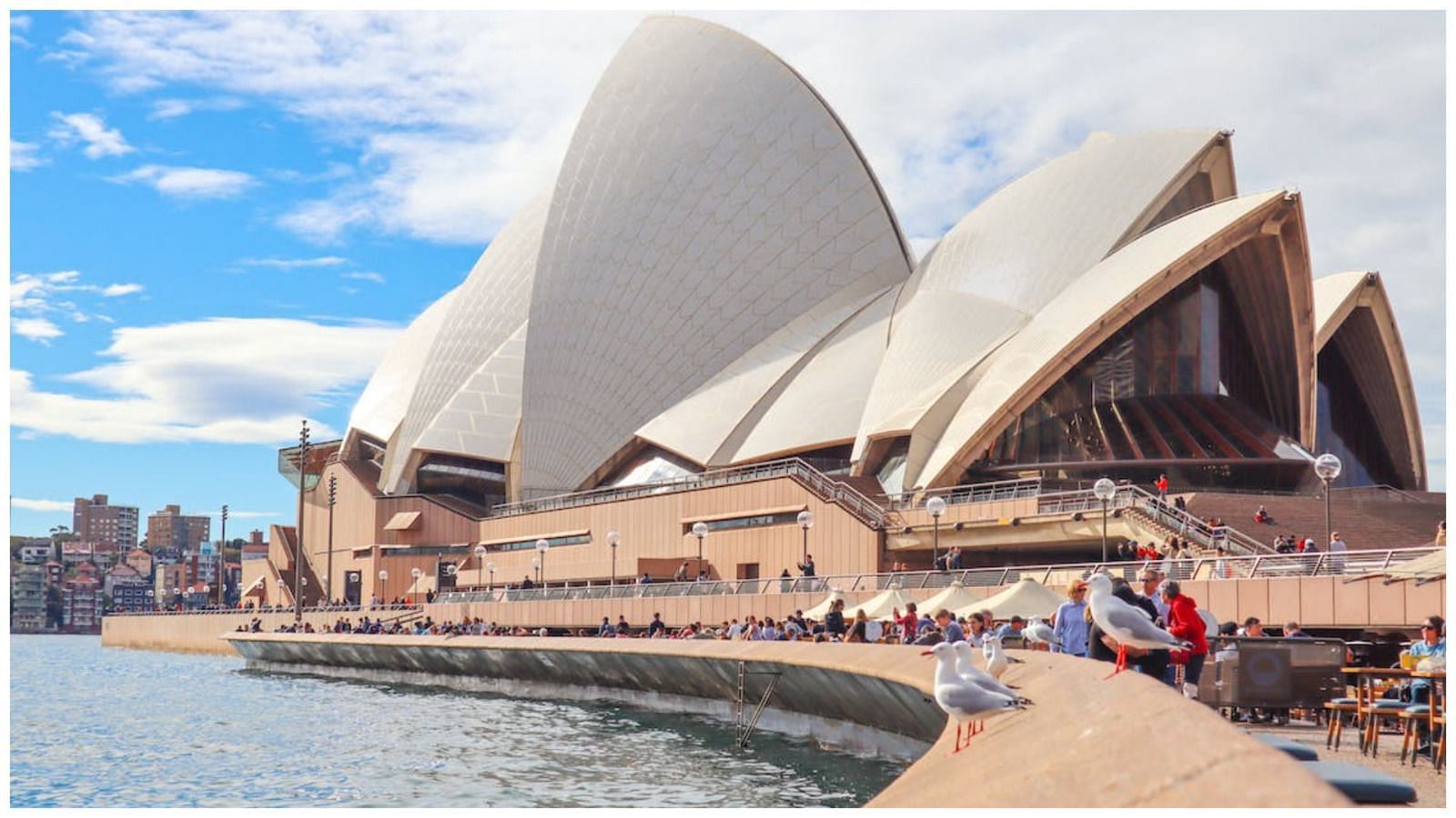 A recent shark attack near the Sydney Opera House left a woman severely injured (Image via Pexels)