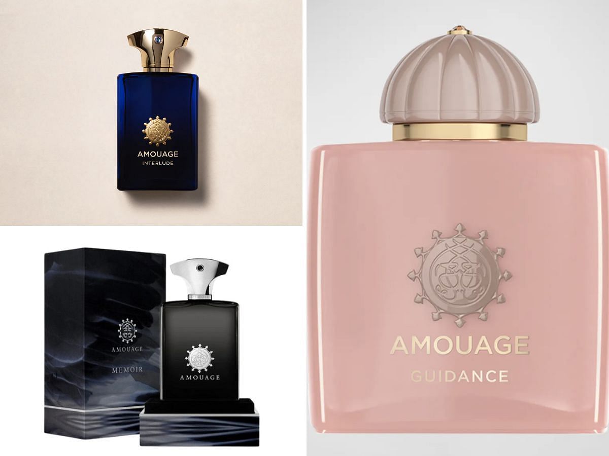 10 Best Amouage perfumes for men Memoir Man Guidance and more