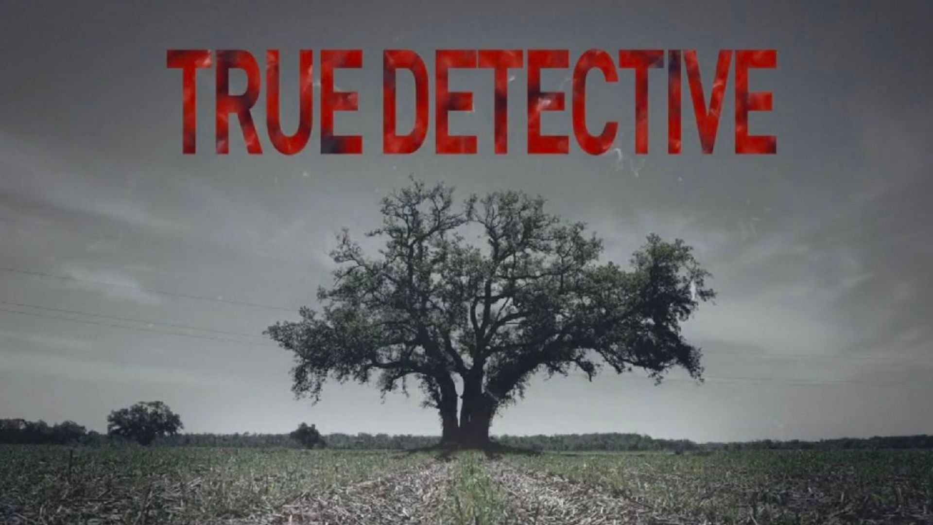 True Detective Season 4     (Image via IMDb)