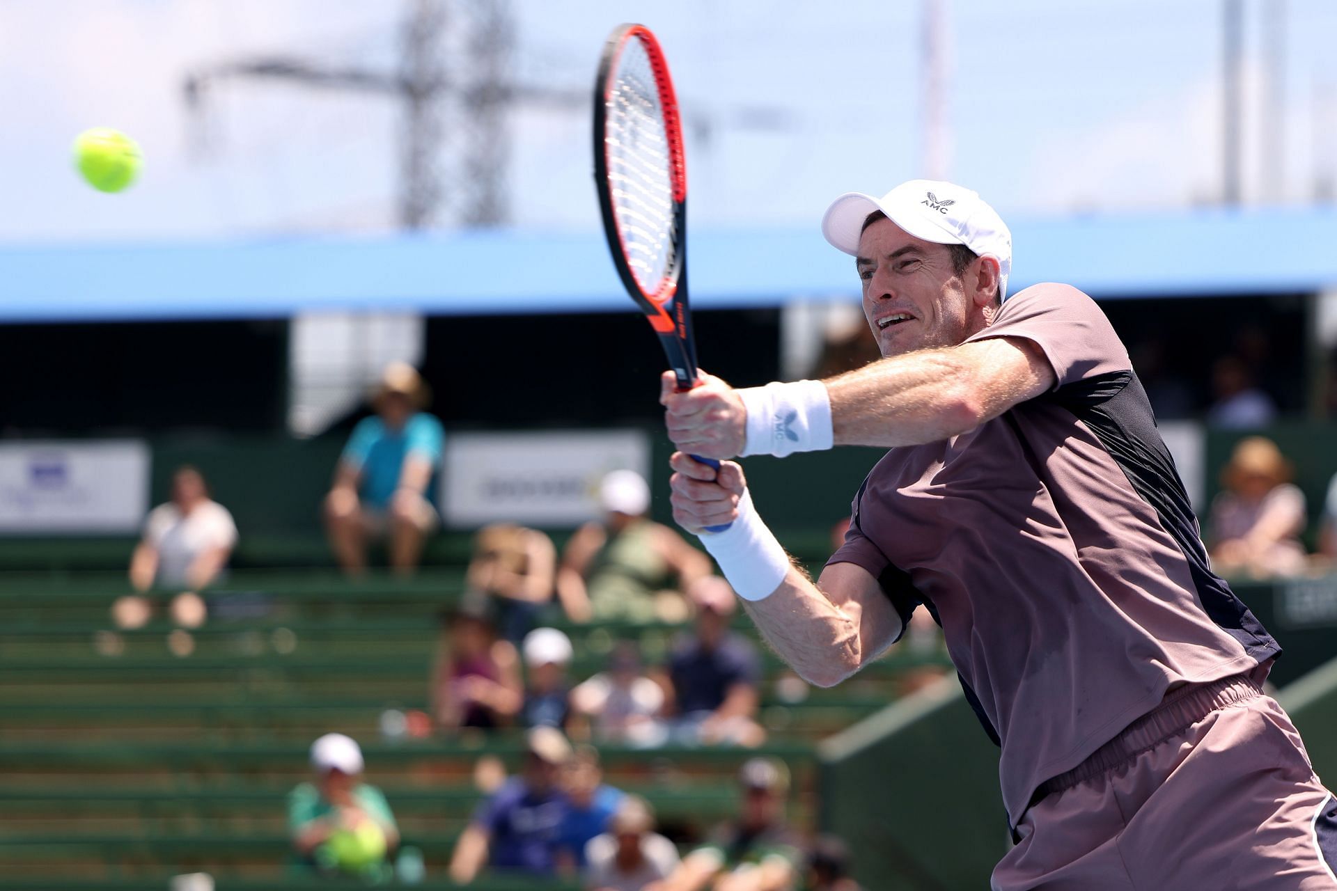 Andy Murray at the 2024 Kooyong Classic.