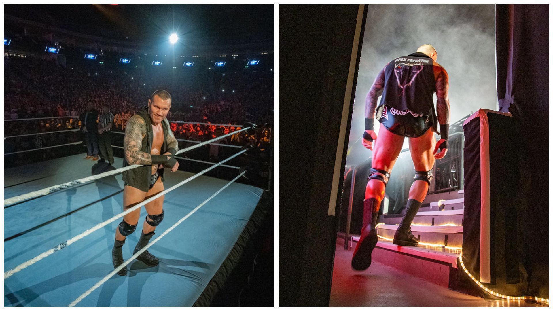 Randy Orton is a former WWE Champion.