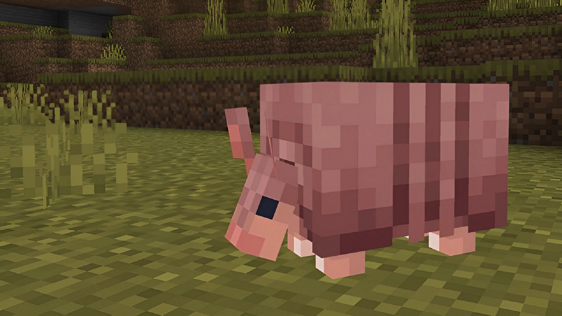 An armadillo in Minecraft beta and preview 1.20.70.20.