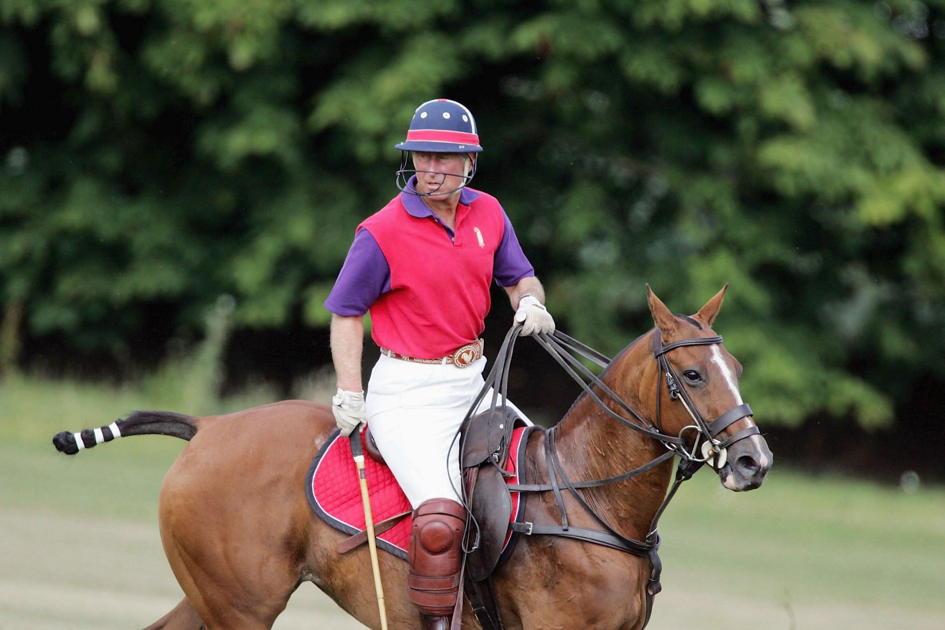 Prince Charles Plays Polo At Beaufort (Image via Getty)