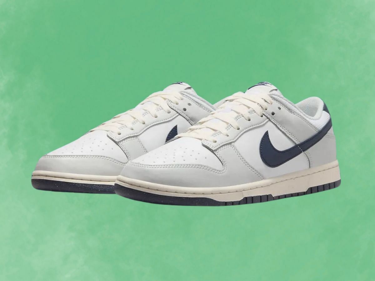 Nike Dunk Low Next Nature sneakers (Image via Nike)