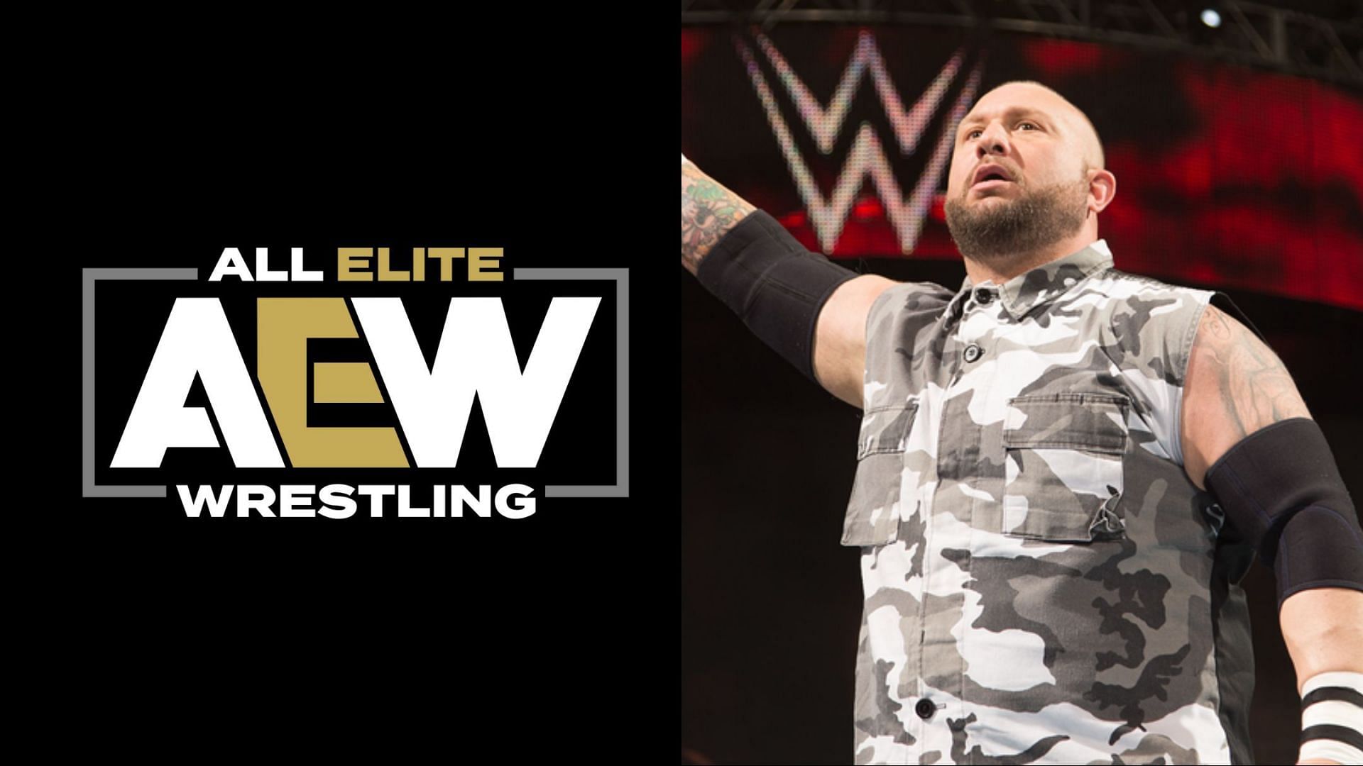 Bully Ray is a WWE Hall of Famer