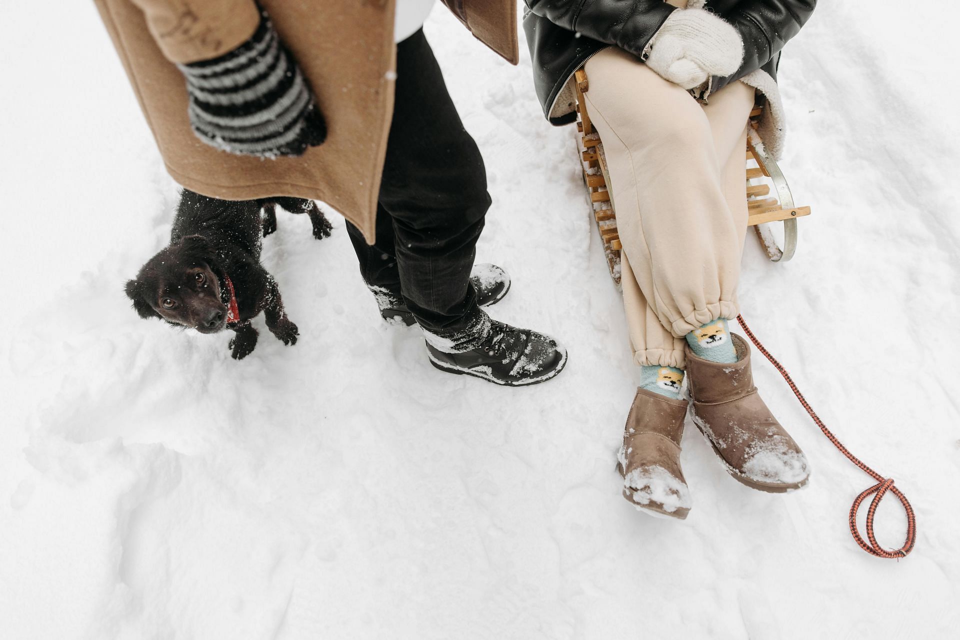 why are my toes always cold (image sourced via Pexels / Photo by pavel)