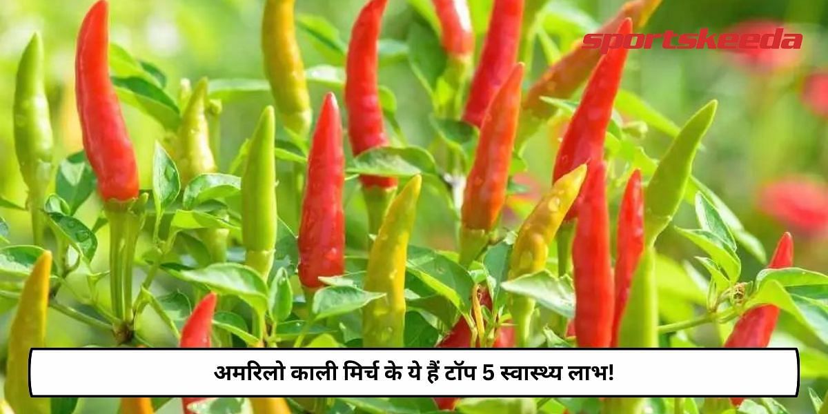 Top 5 Health Benefits of Amarillo Pepper!