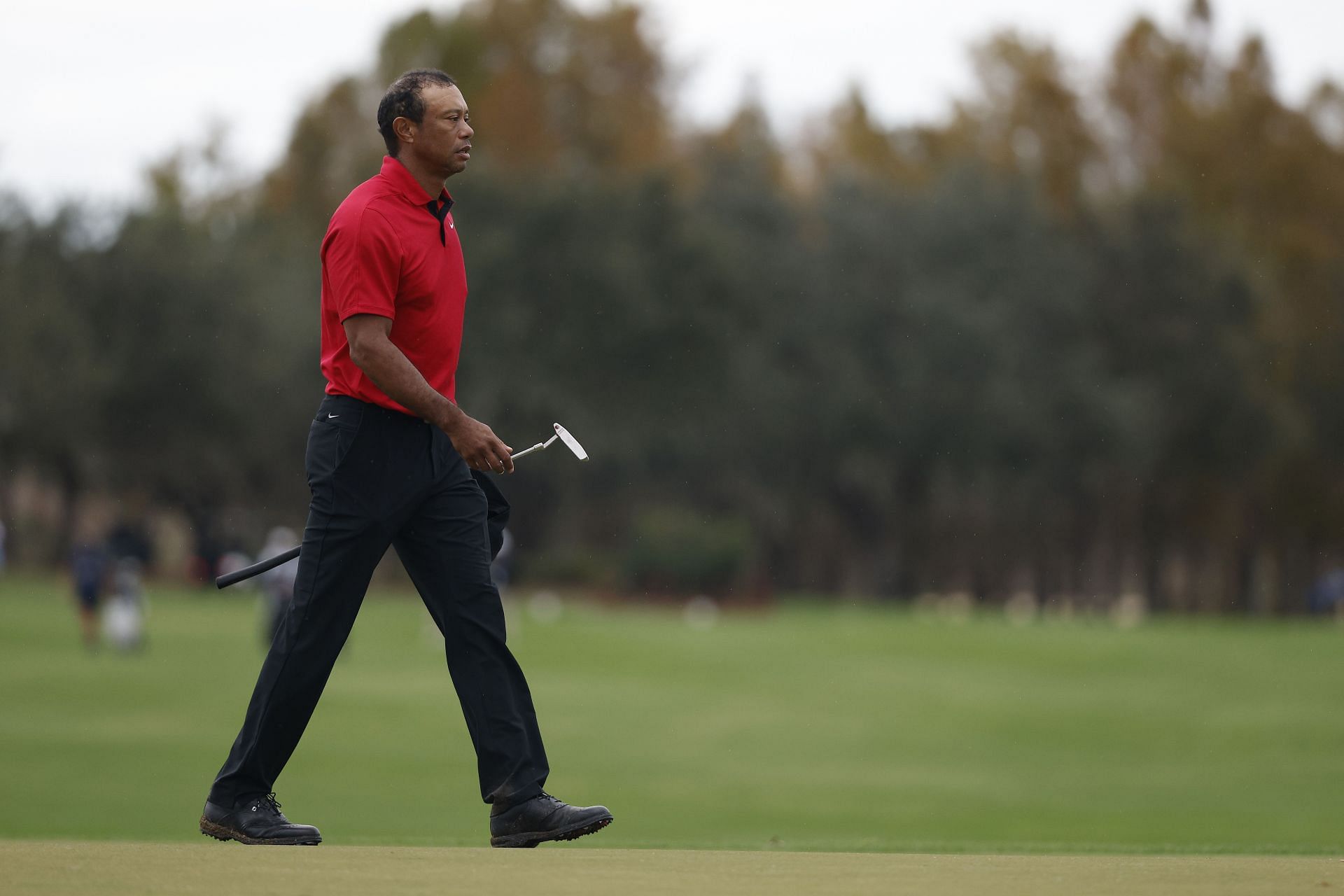 When does Tiger Woods play next in 2024? golf events explored
