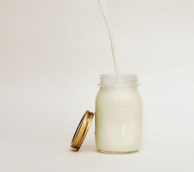 Is potato milk healthy? Exploring its amazing benefits