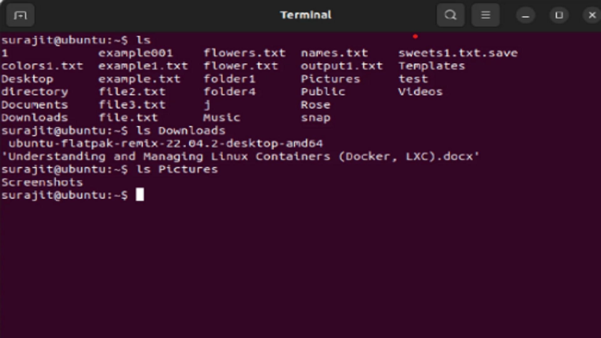 ls command (Image via Ubuntu)