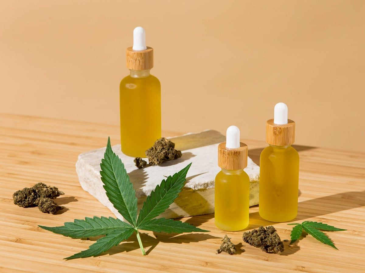 Hemp plant and oil (Image via Freepik)