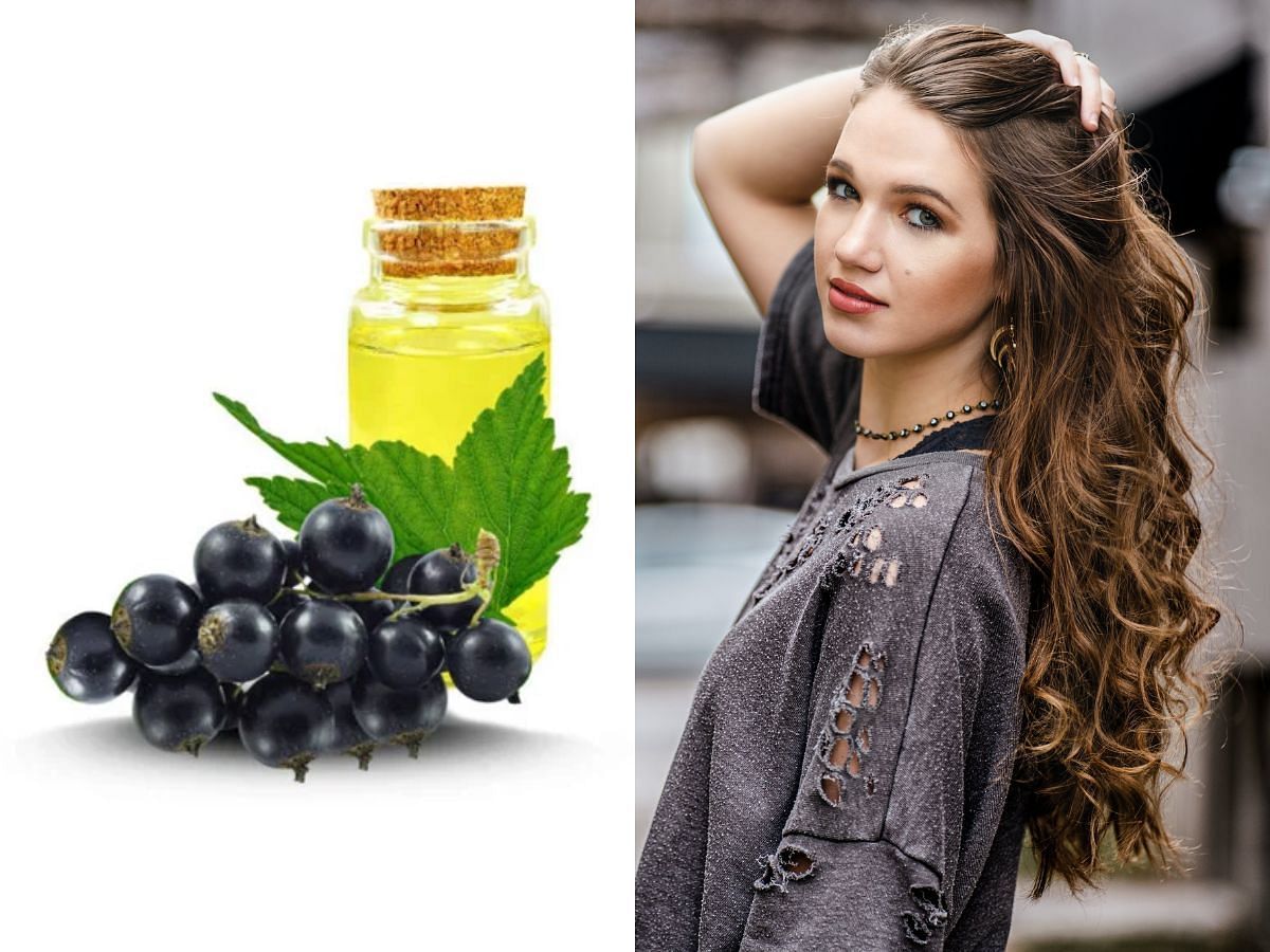 7 Benefits of black currant seed oil for skin health