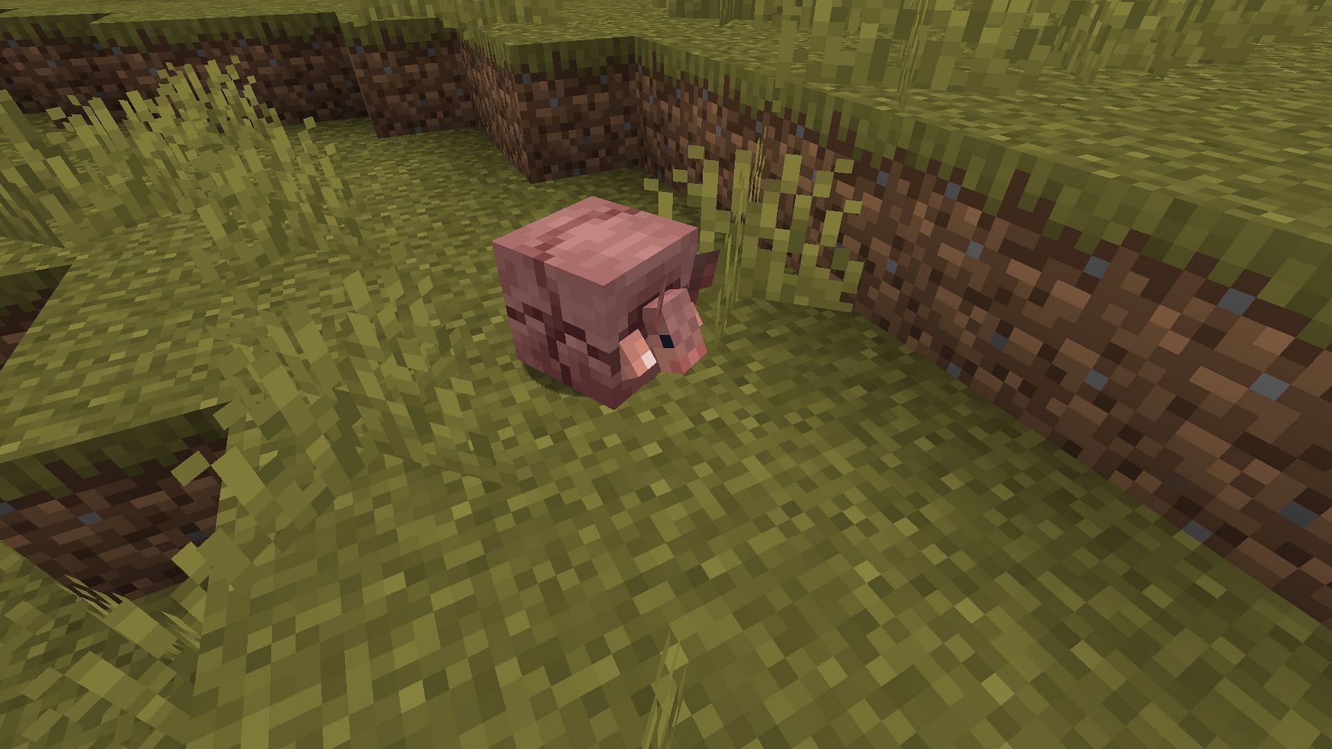 An armadillo curls up to defend itself in Snapshot 24w04a (Image via Mojang)