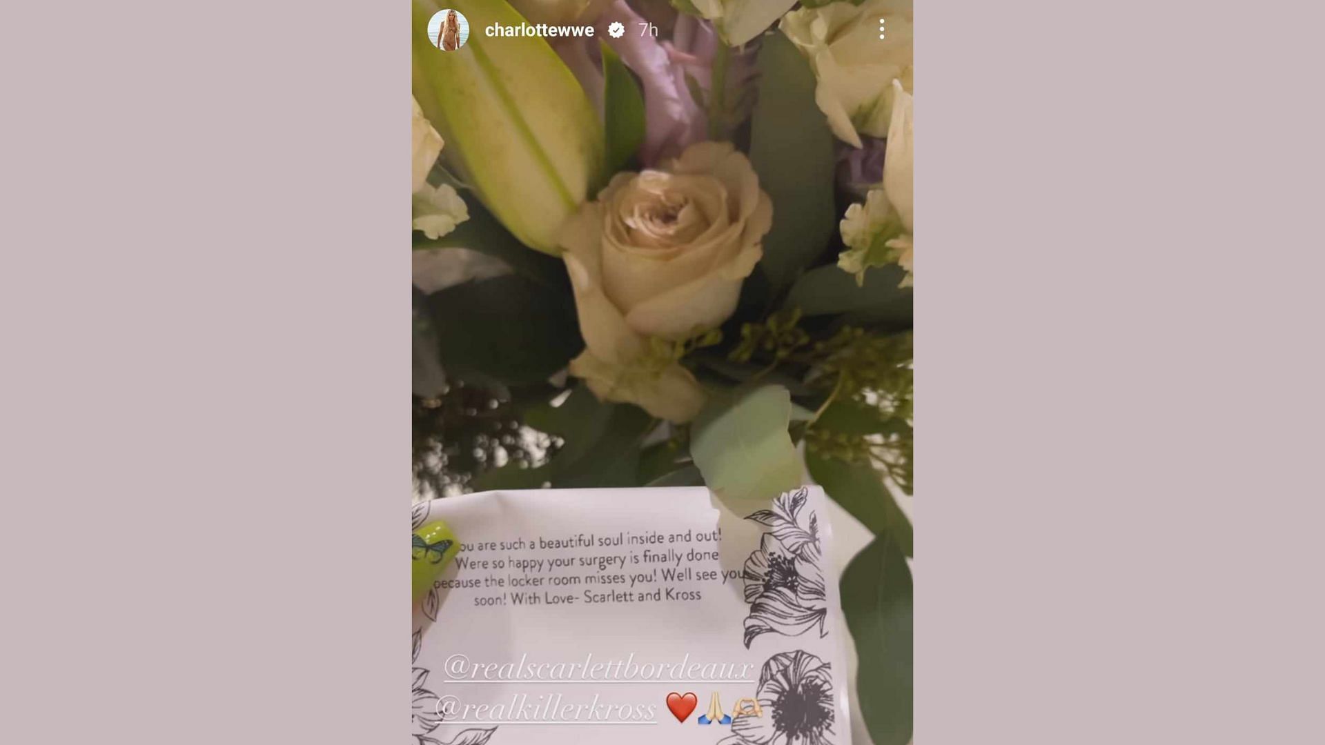 Screengrab of Charlotte Flair&#039;s Instagram story.