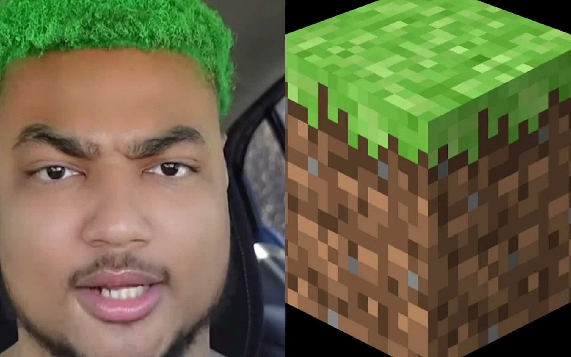 Minecraft Dirt Block Guy