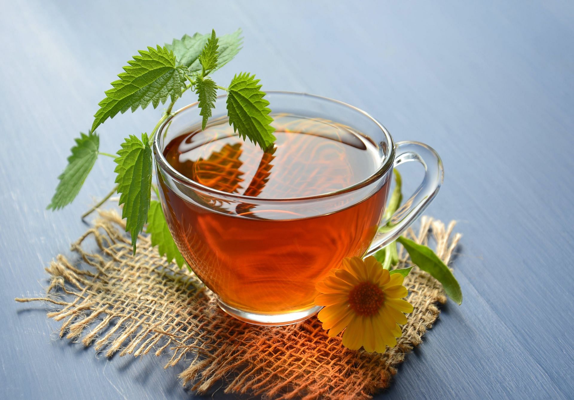Benefits of wormwood tea (image sourced via Pexels / Photo by mareefe)