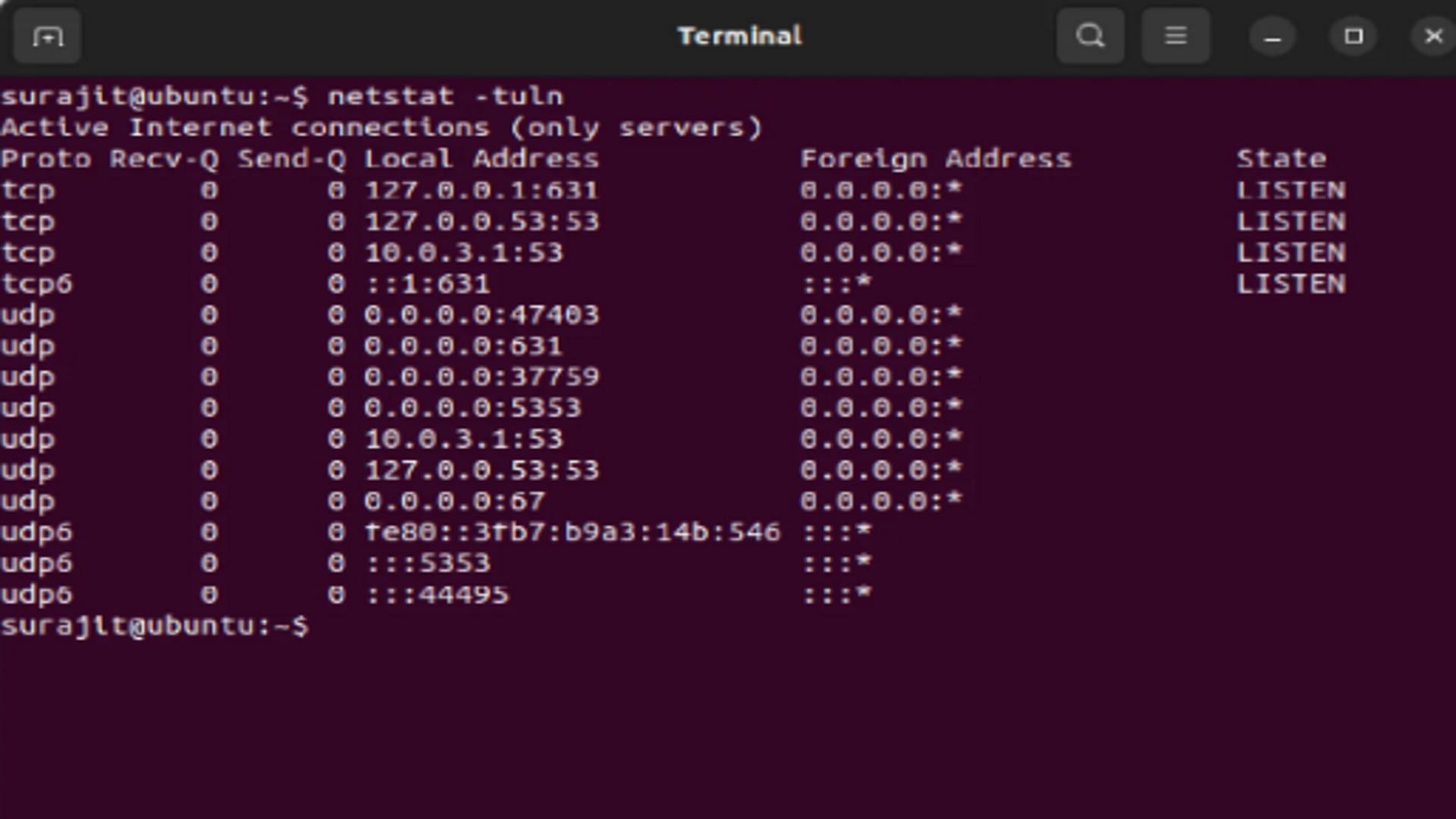 netstat command (Image via Ubuntu)