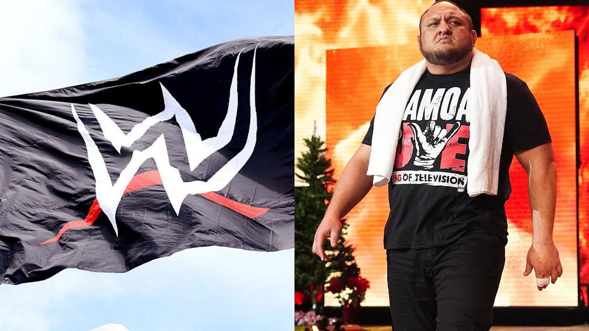 Ex-WWE Personality Makes A Request To AEW World Champion Samoa Joe