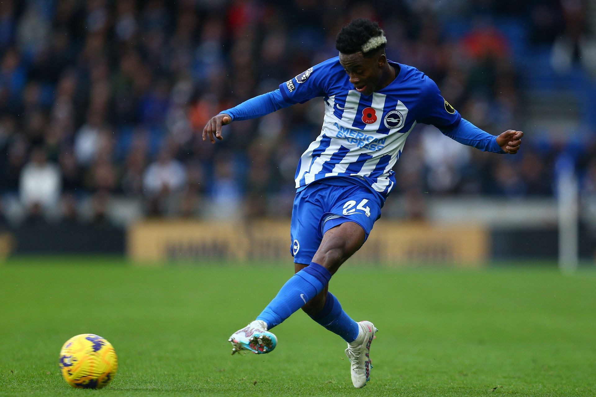 Brighton &amp; Hove Albion v Sheffield United - Premier League