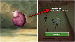Minecraft player dies after teleporting with the help of chorus fruit