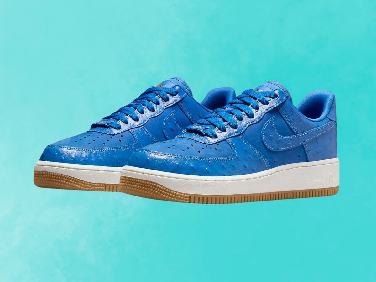Nike Air Force 1 Low Blue Ostrich sneakers (Image via Nike)
