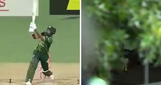 NZ vs PAK : फखर ज़मान का गगनचुम्बी छक्का पहुंचा स्टेडियम के बाहर, एक शख्स के गेंद चुराकर भागने का वीडियो आया सामने