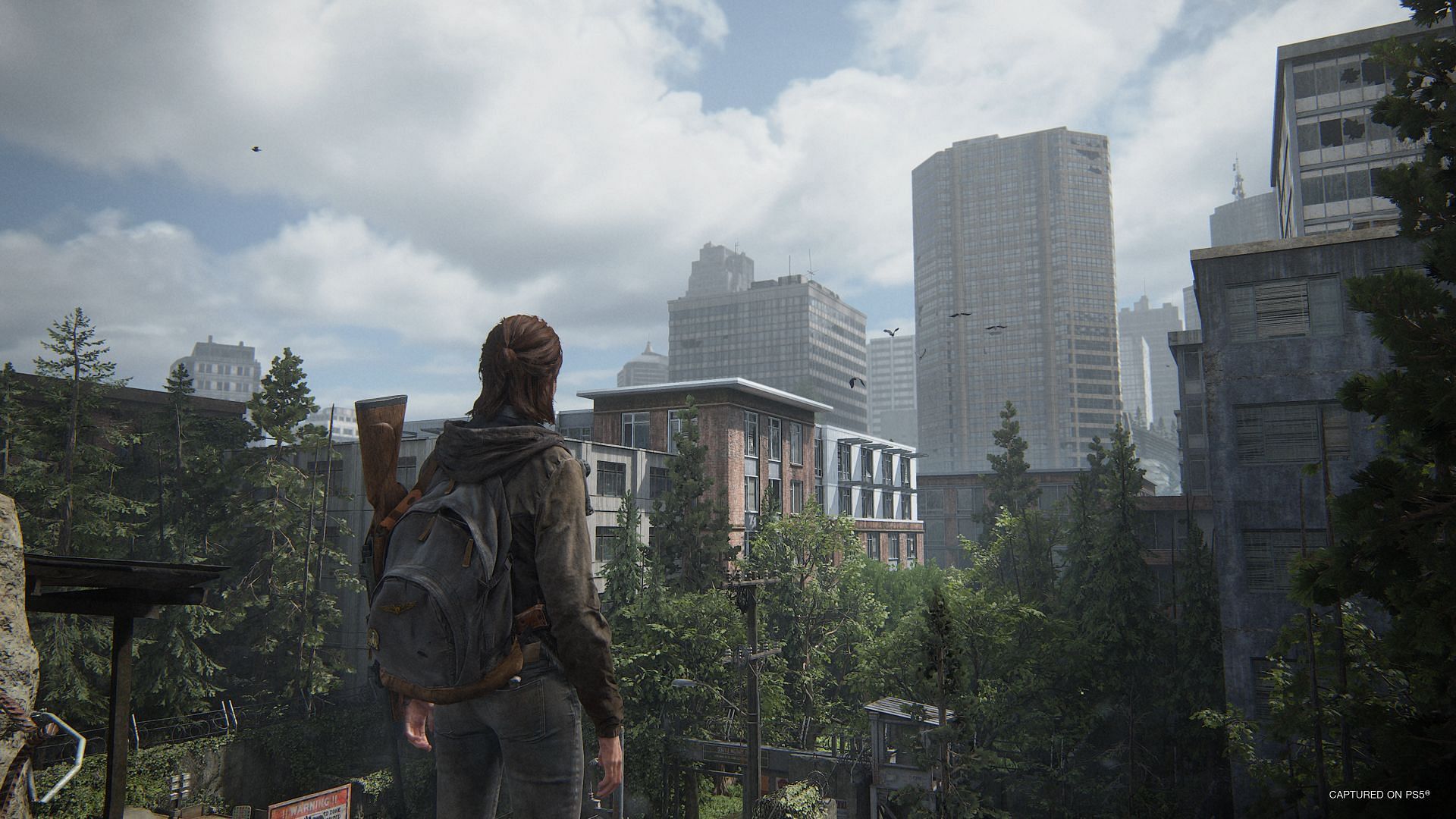 Despite my gripes with the story, The Last of Us Part 2 Remastered still reigns as one of the most visually impressive games on the PS5 (Image via PlayStation, Naughty Dog)