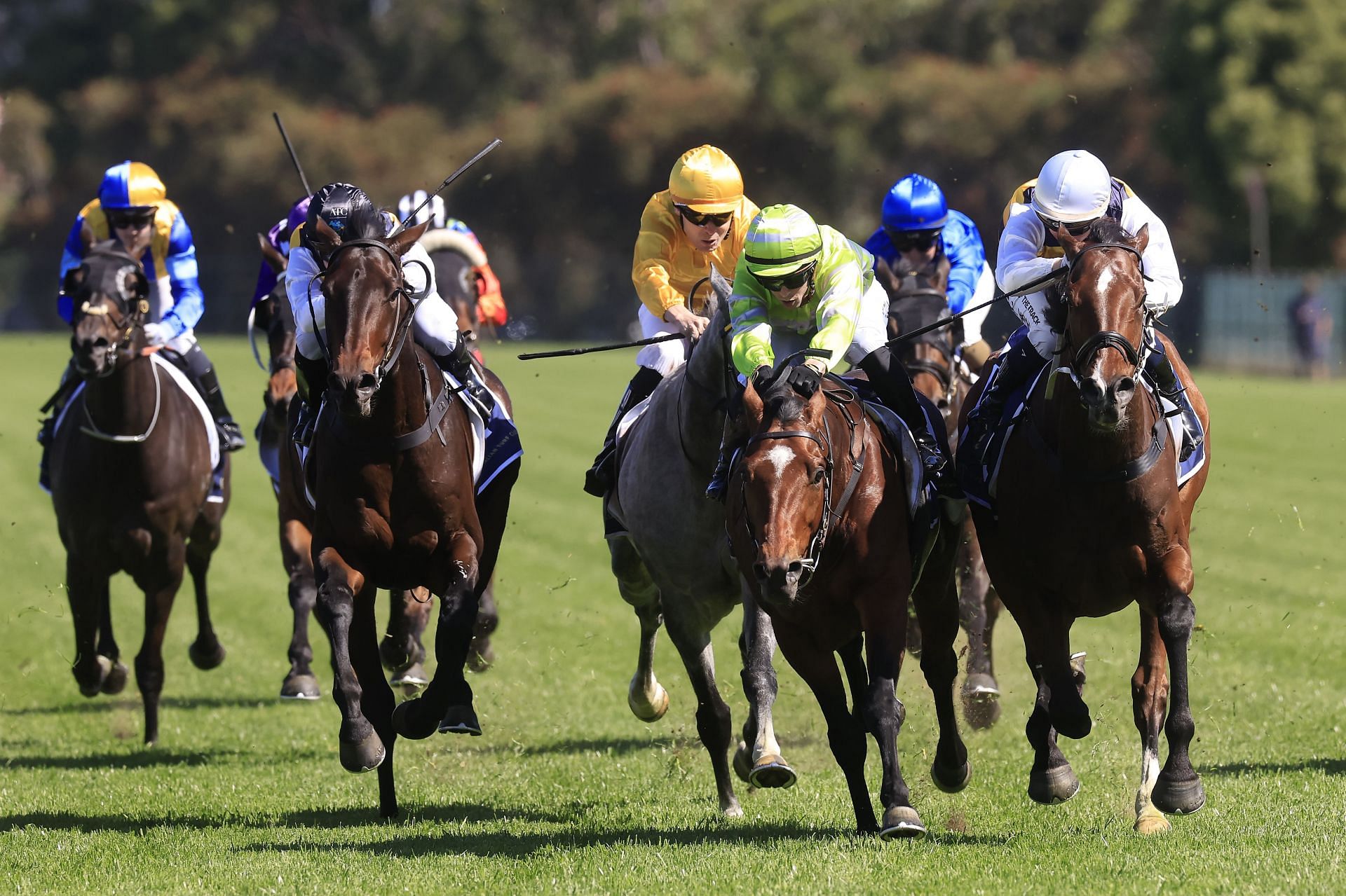 Sydney Racing: Golden Eagle Day