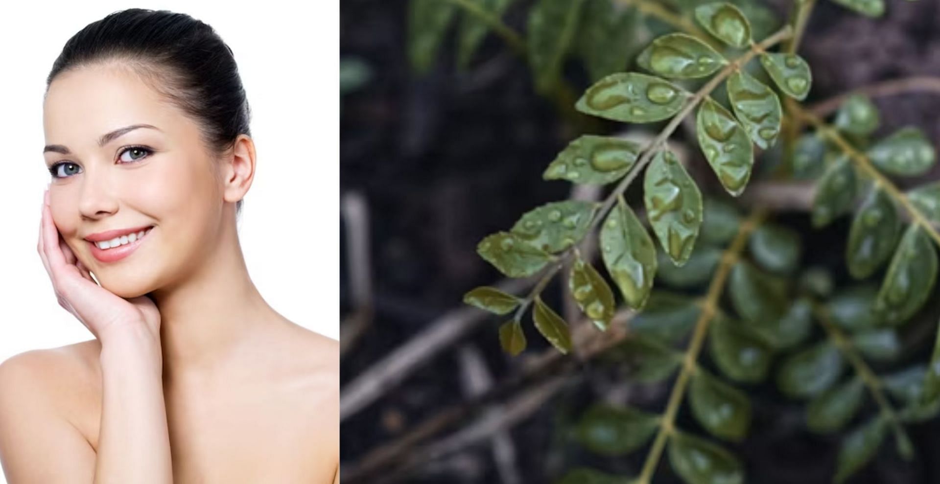 Beauty benefits of Curry leaves: How to add this ingredient to your skin care