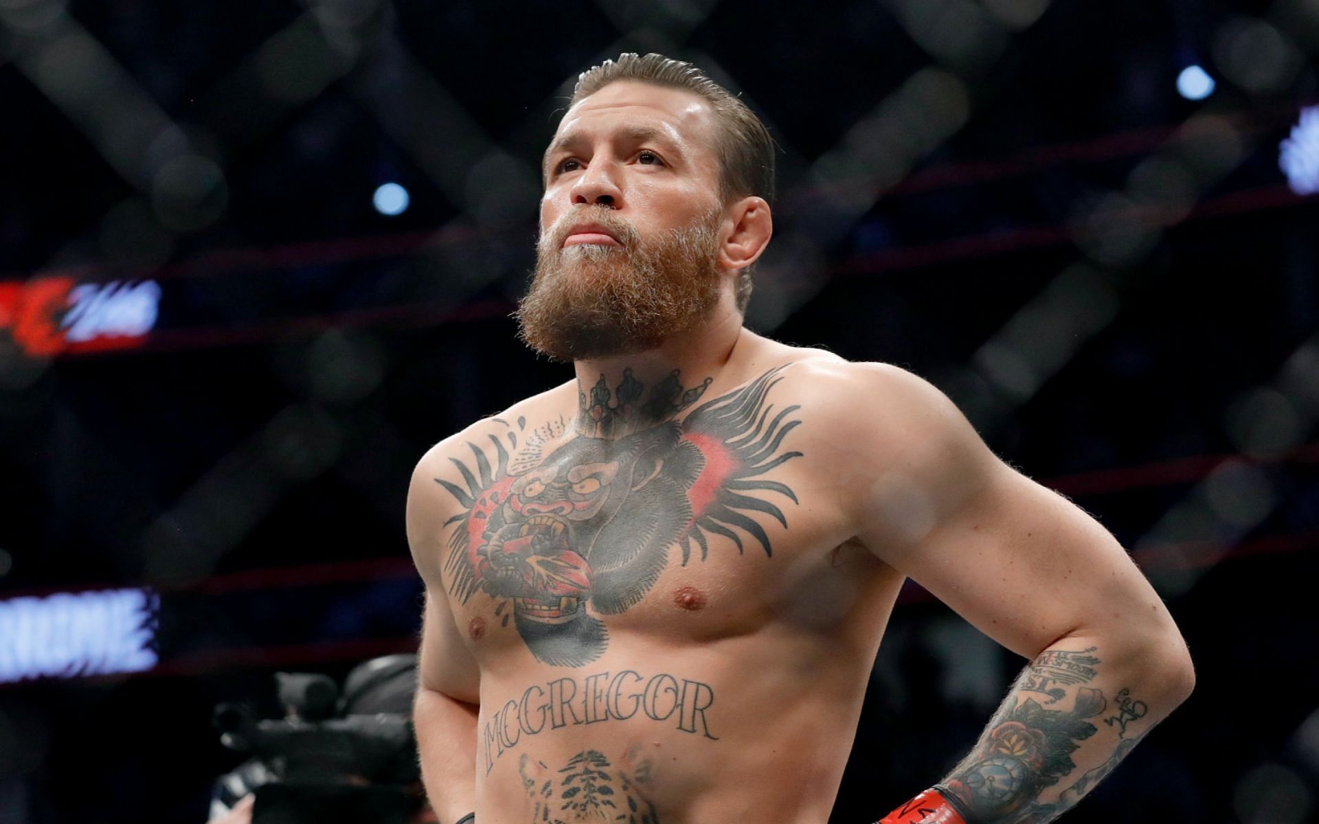 Conor McGregor continues campaign against Irish government [Image via: Getty Images] 