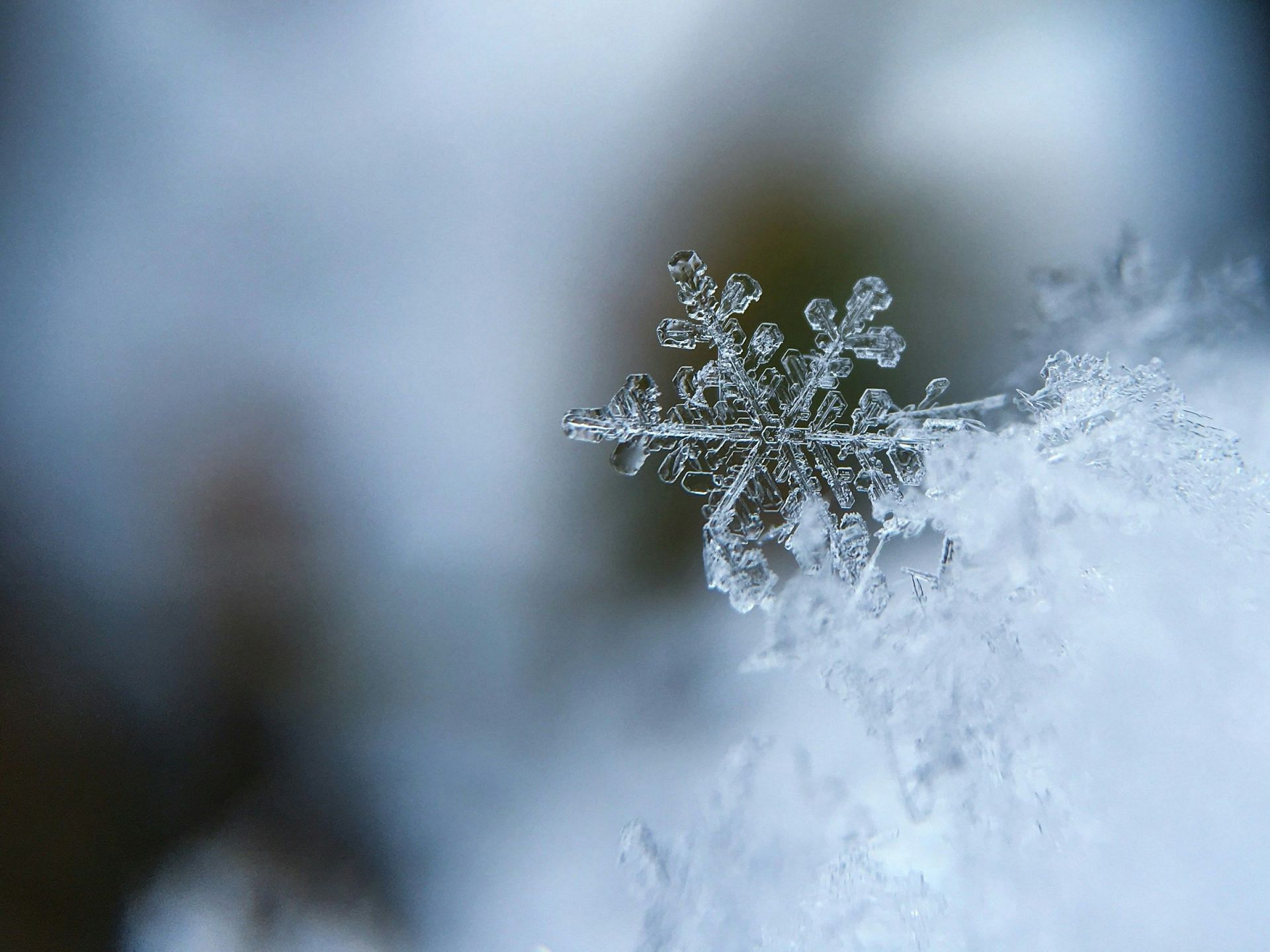 Is it safe to eat snow (Image via Unsplash/Aaron Burden)