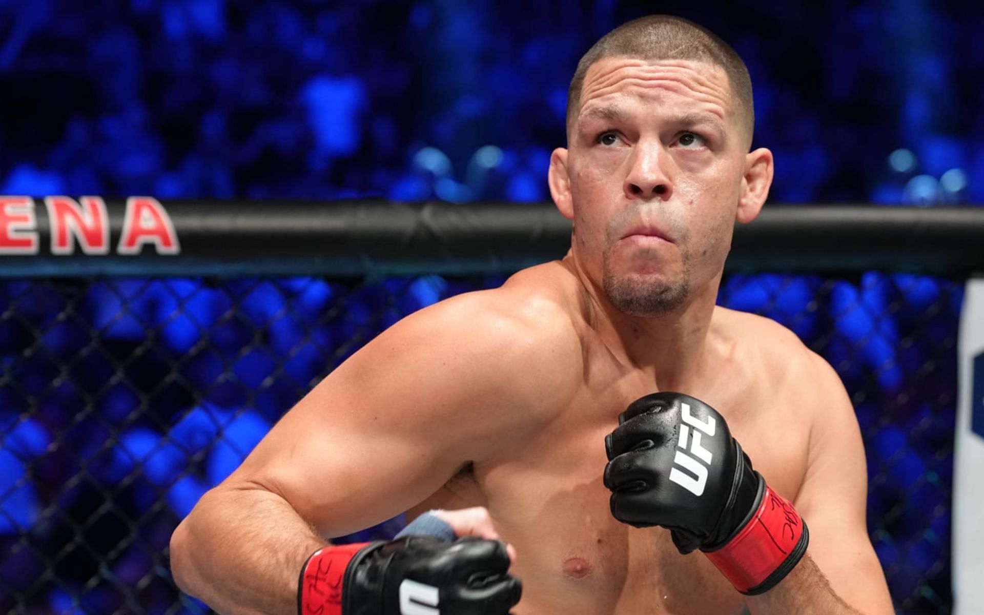 Nate Diaz