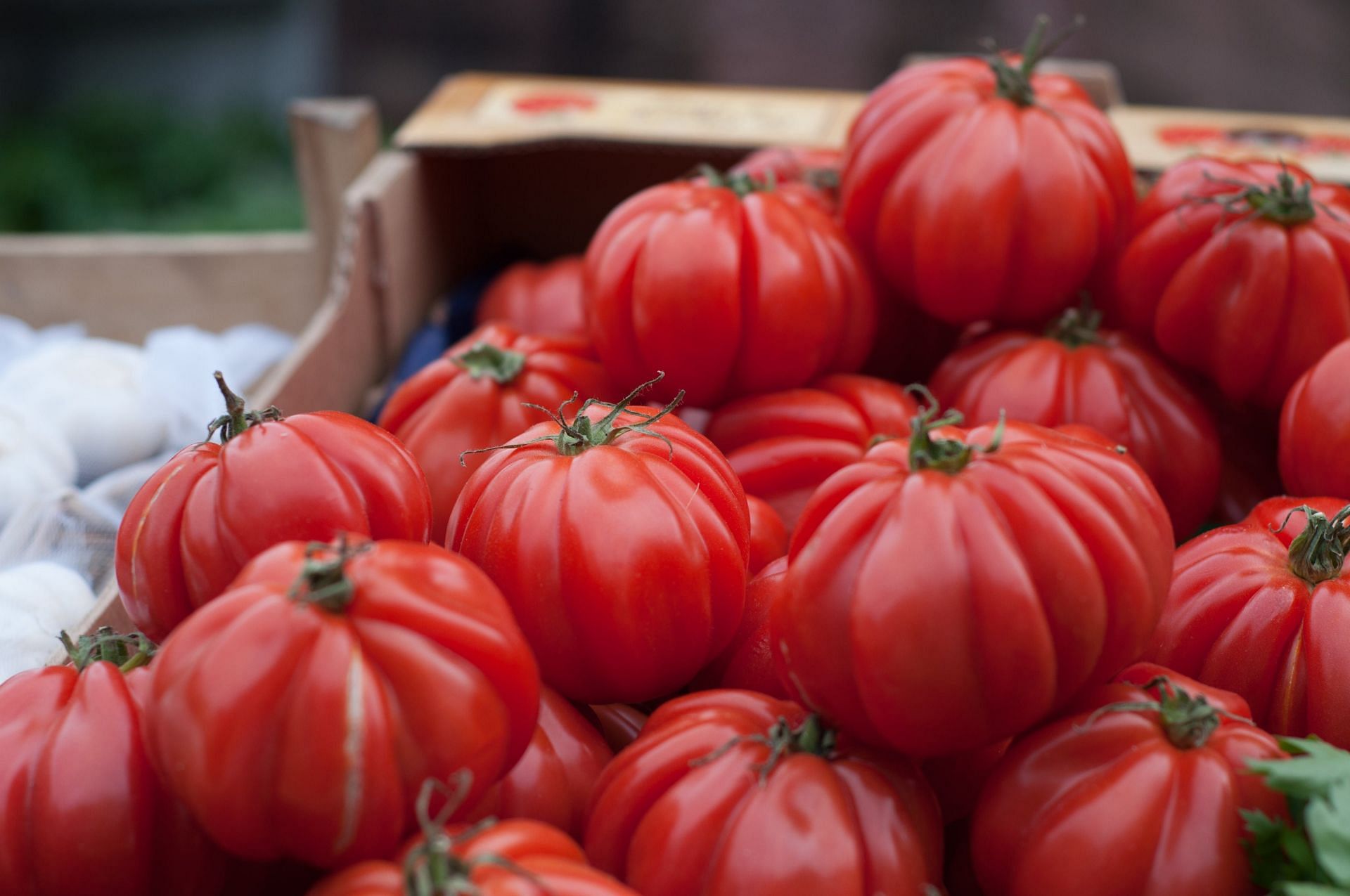Importance of understanding health benefits of heirloom tomatoes (image sourced via Pexels / Photo by mali maeder)