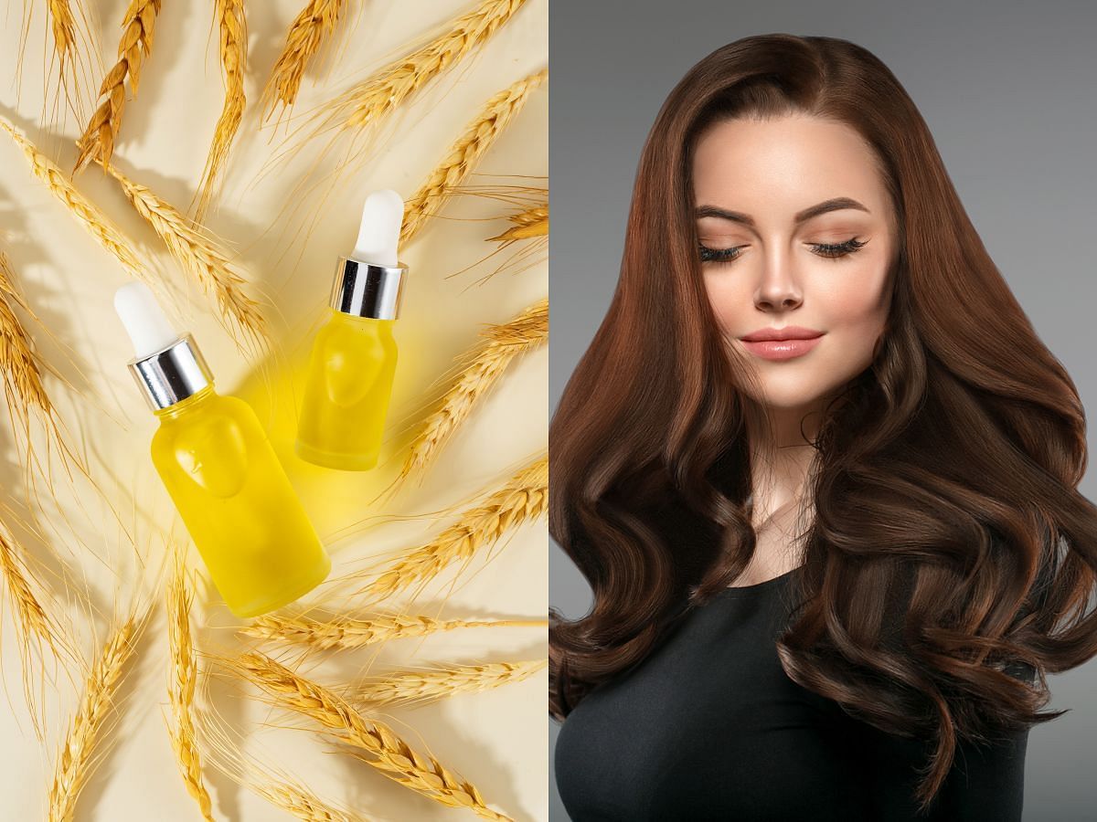 Beauty benefits of Wheat Germ oil: How to add this ingredient to your skin and hair care routine