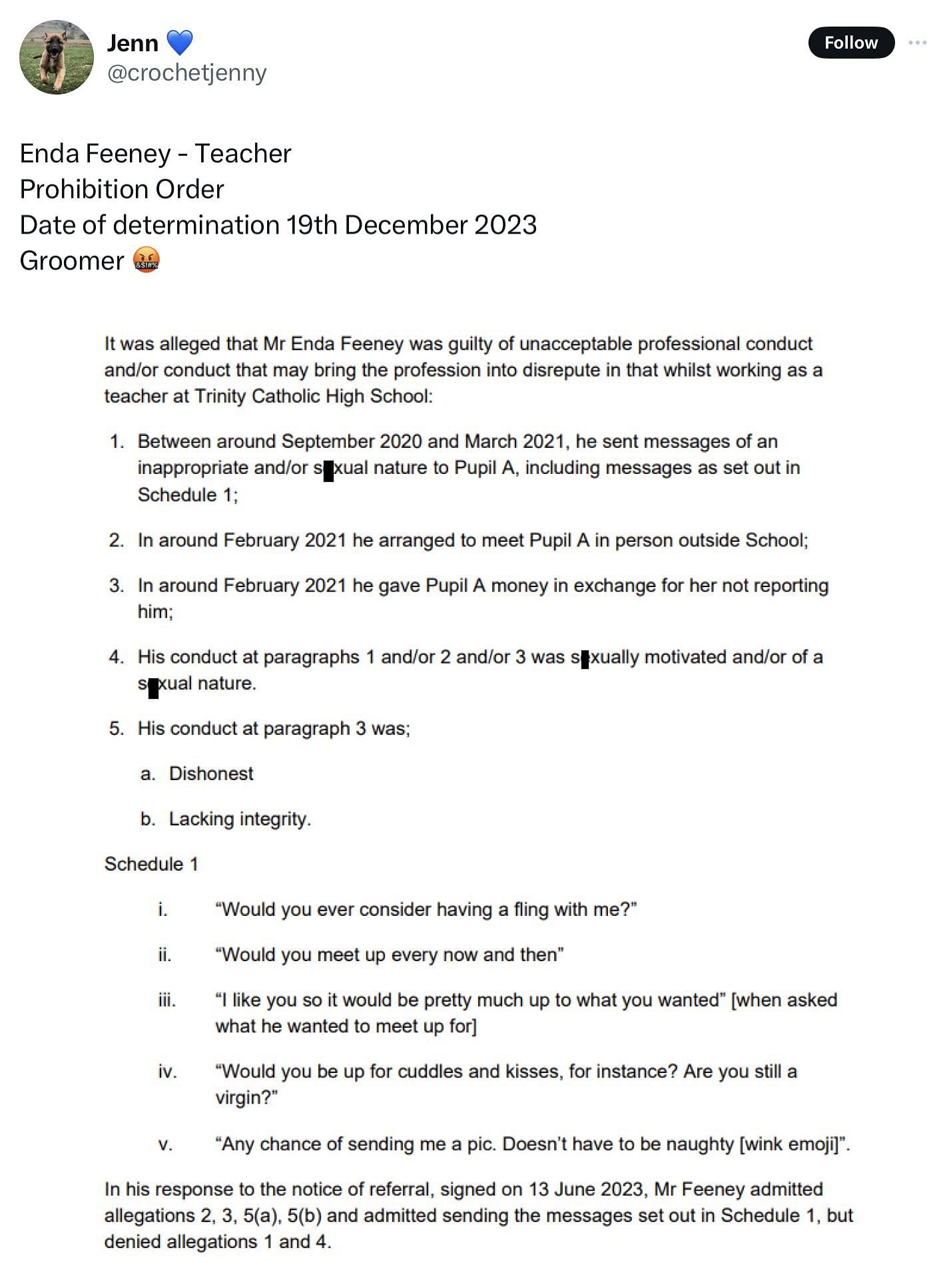 Documents about Enda Feeney&#039;s two-day hearing in December 2023 (Image via @crochetjenny/X)