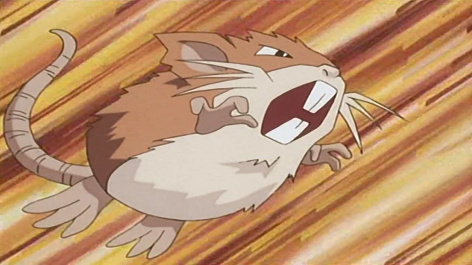 Raticate as seen in the anime (Image via The Pokemon Company)