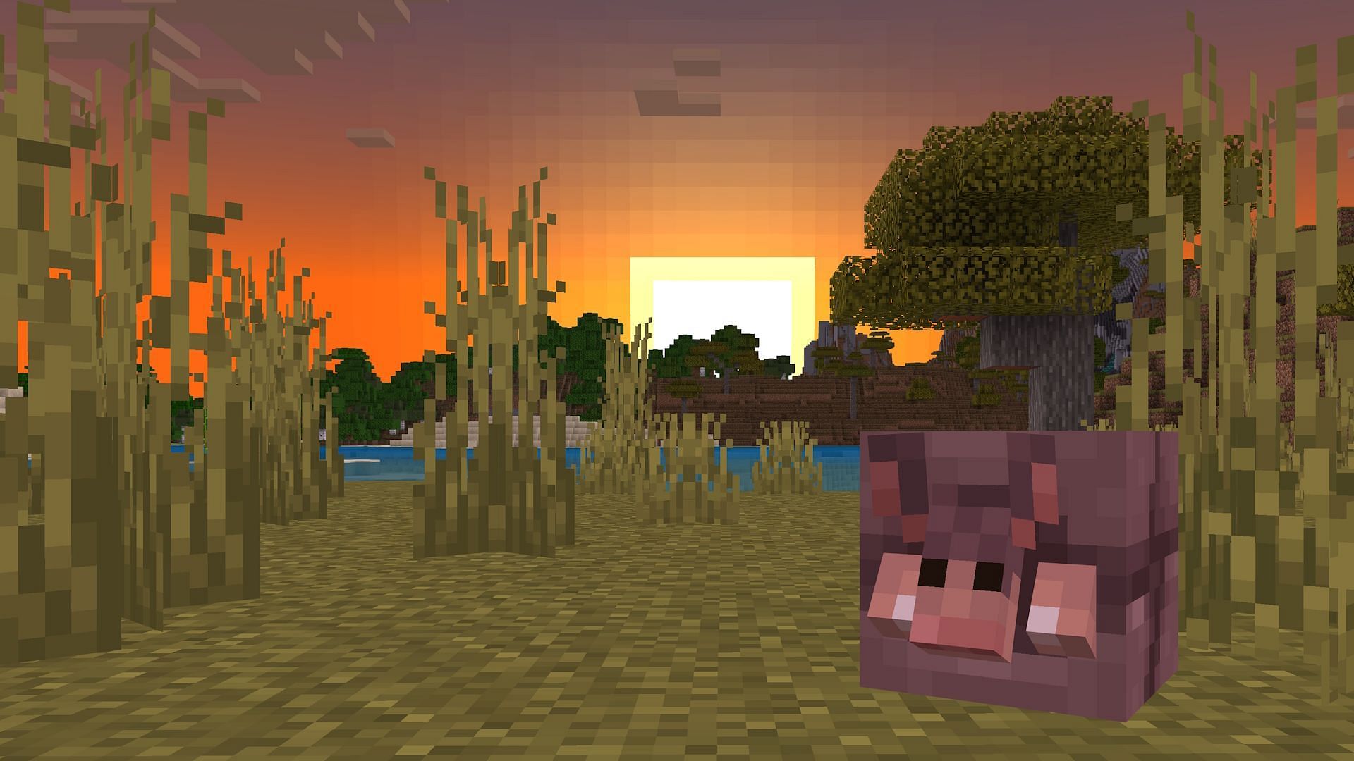 An armadillo curls up in Minecraft Bedrock Preview 1.20.60.26.
