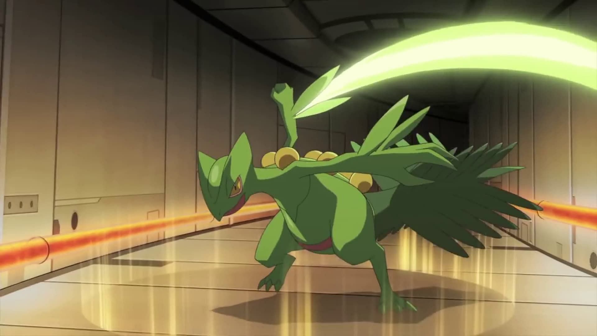 Sceptile in the anime (Image via The Pokemon Company)