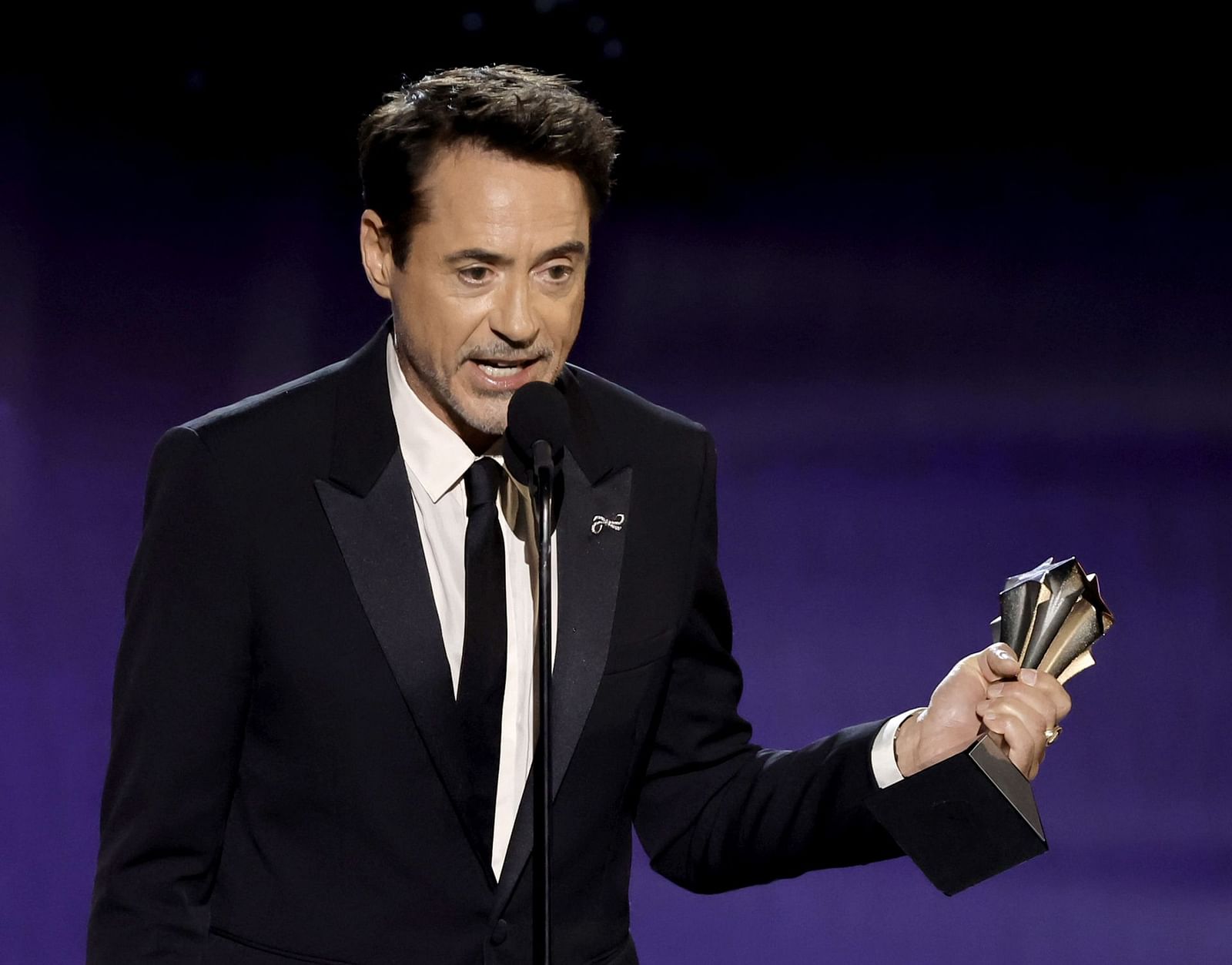 Robert Downey Jr Net Worth 2024